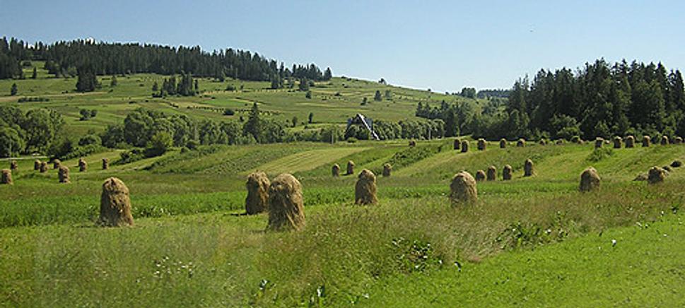 Obrázok blogu