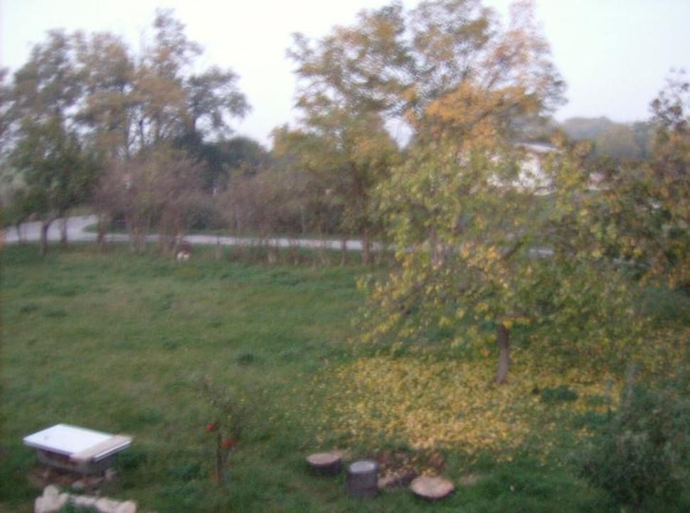 Obrázok blogu