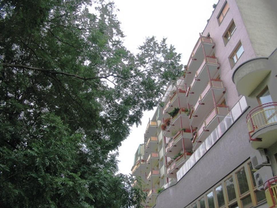Obrázok blogu
