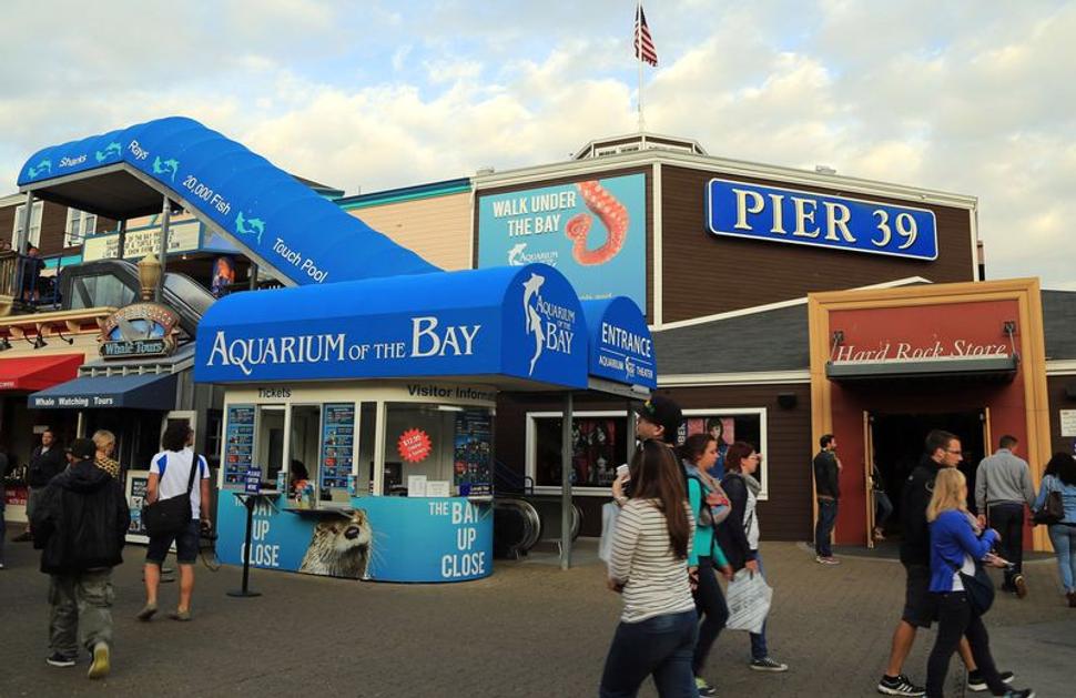 Molo Pier 39