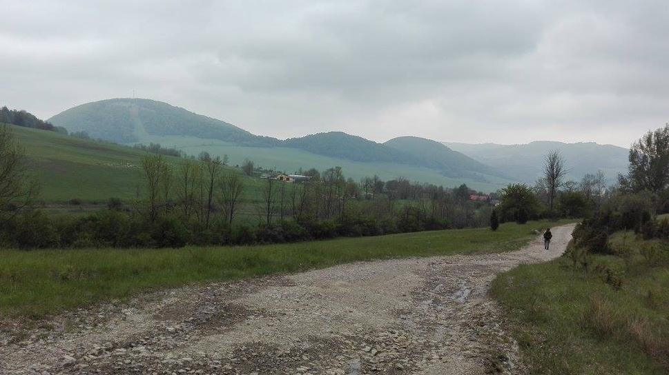 cestou do Zliechova