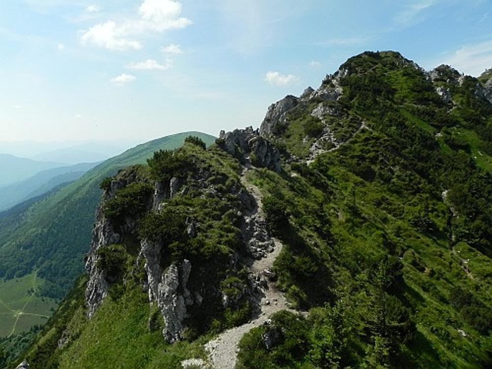Obrázok blogu