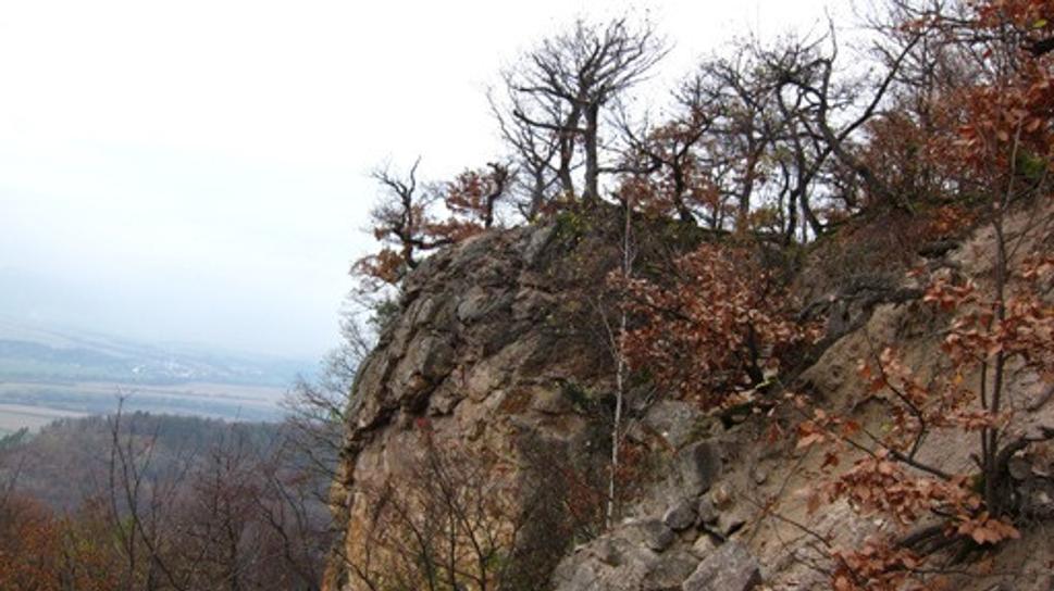 Obrázok blogu