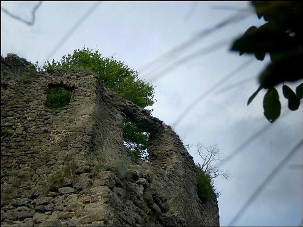 Obrázok blogu