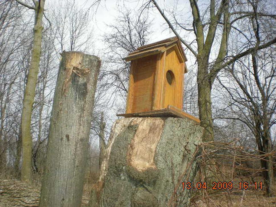 Obrázok blogu