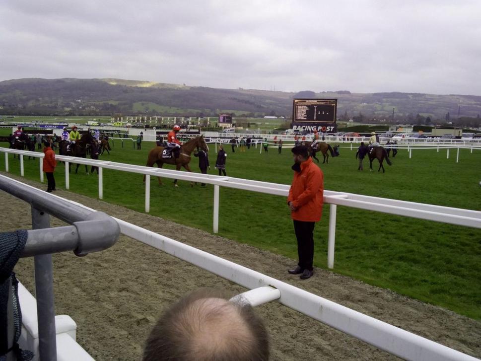 Paráda koní pred Champion Chase dostihom, v popredí s číslom 5 predvlaňajší víťaz Sire De Grugy