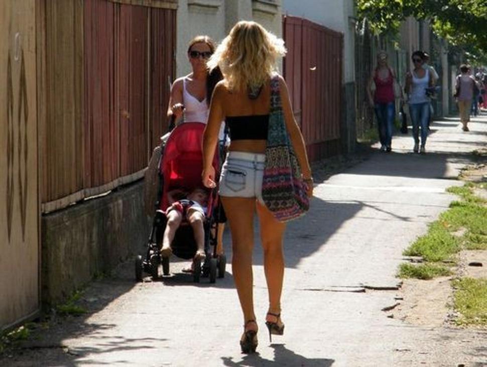 Obrázok blogu