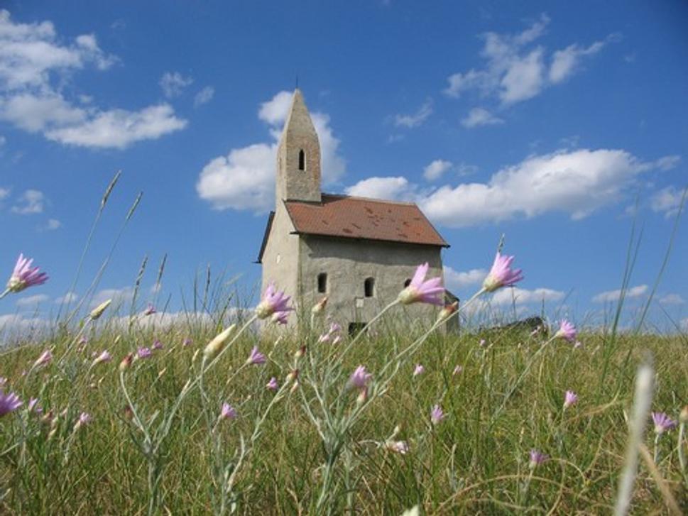 Obrázok blogu