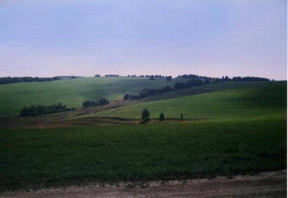 Obrázok blogu