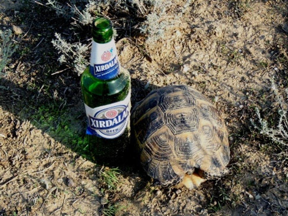 Obrázok blogu