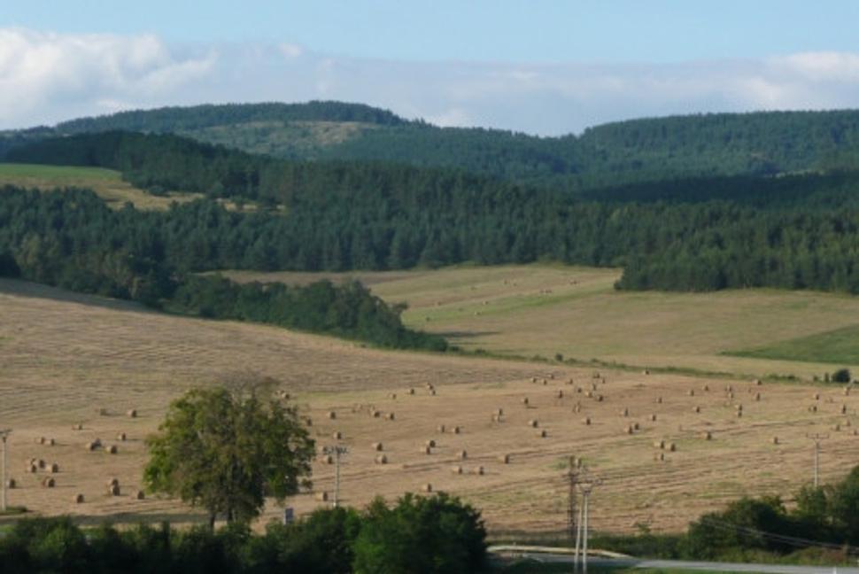 Obrázok blogu