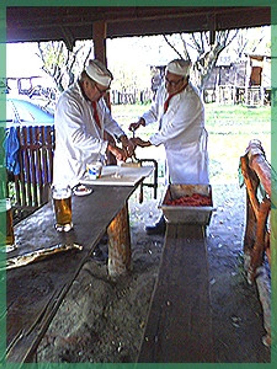 Obrázok blogu