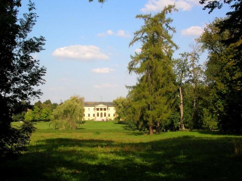 Obrázok blogu