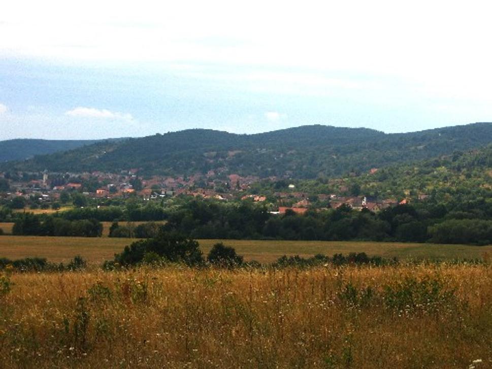 Obrázok blogu