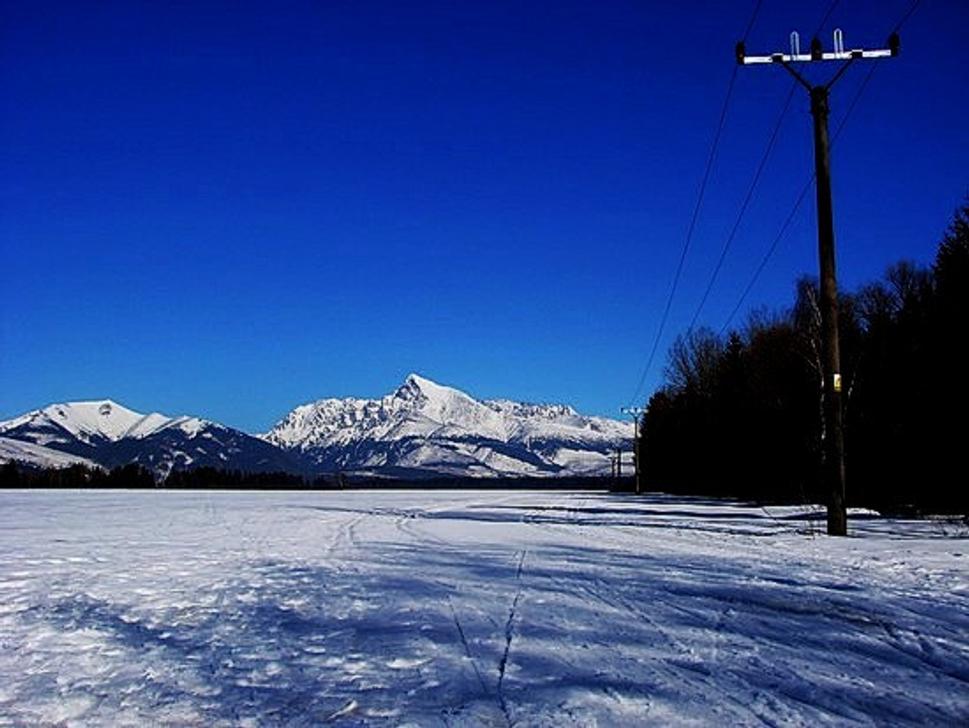 phľadnice