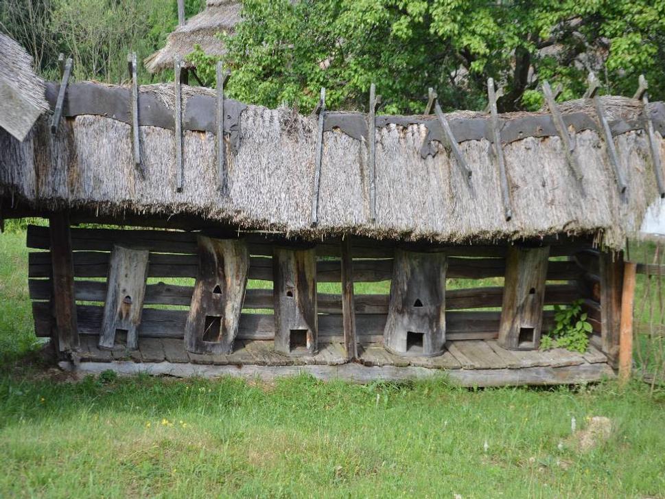 Obrázok blogu