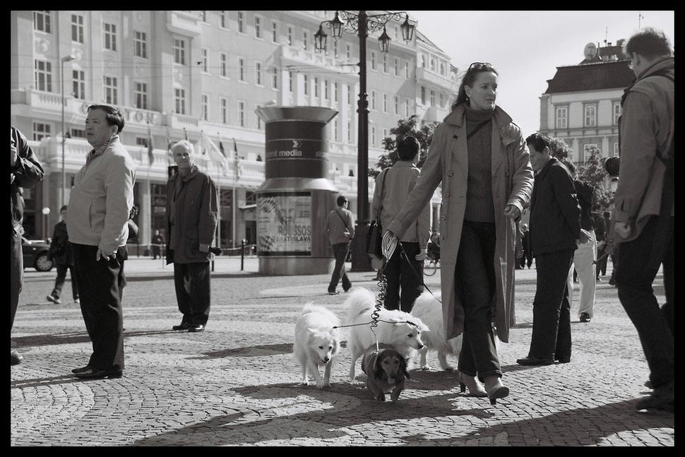 Bratislava, o ľuďoch a meste
