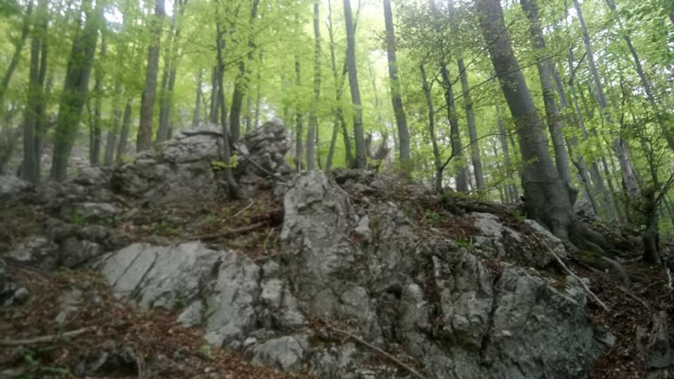 čím sme boli podľa mapy bližšie ku Sokoliu, tým viac skál sa nám vkladalo do cesty a v nich prepletené korene stromov