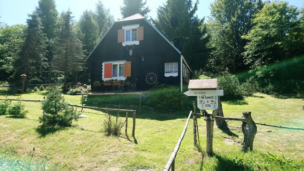 Na samotě u lesa
