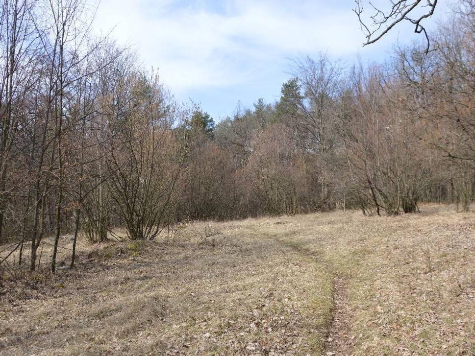zeleno značným turistickým chodníkom