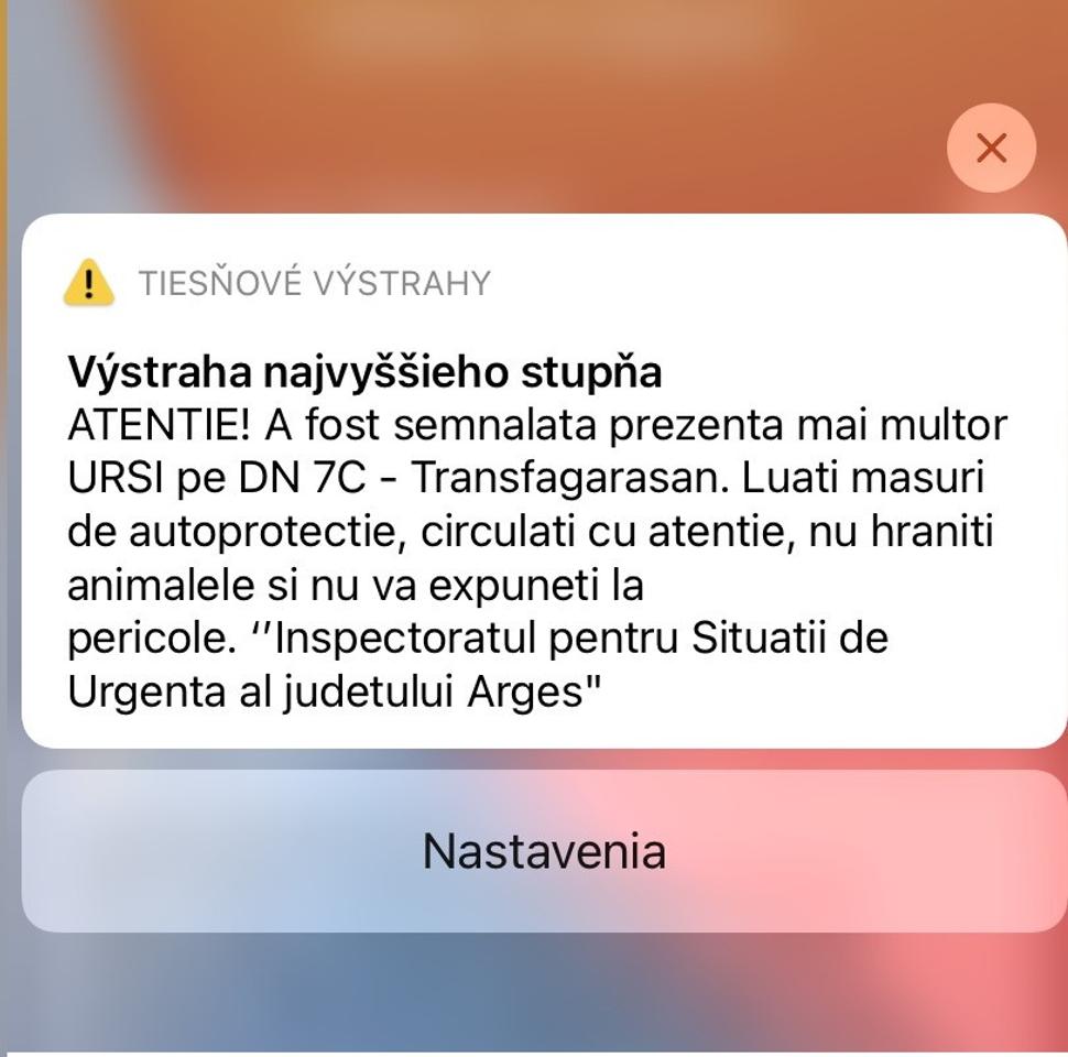 Medveď v blízkosti!