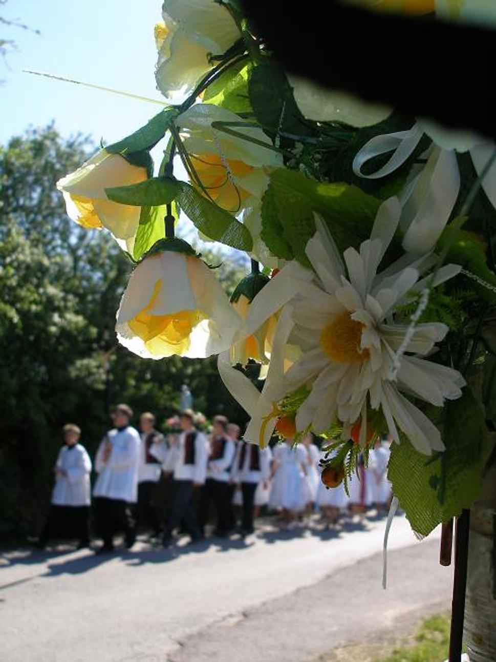Obrázok blogu