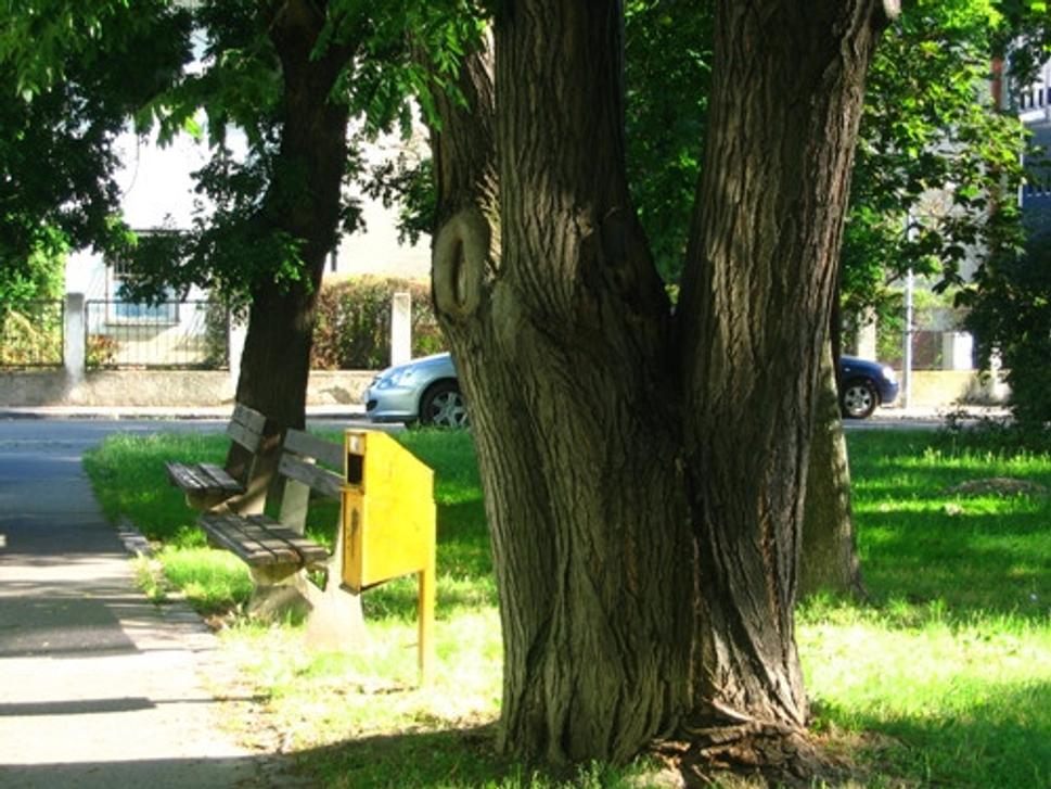 Obrázok blogu