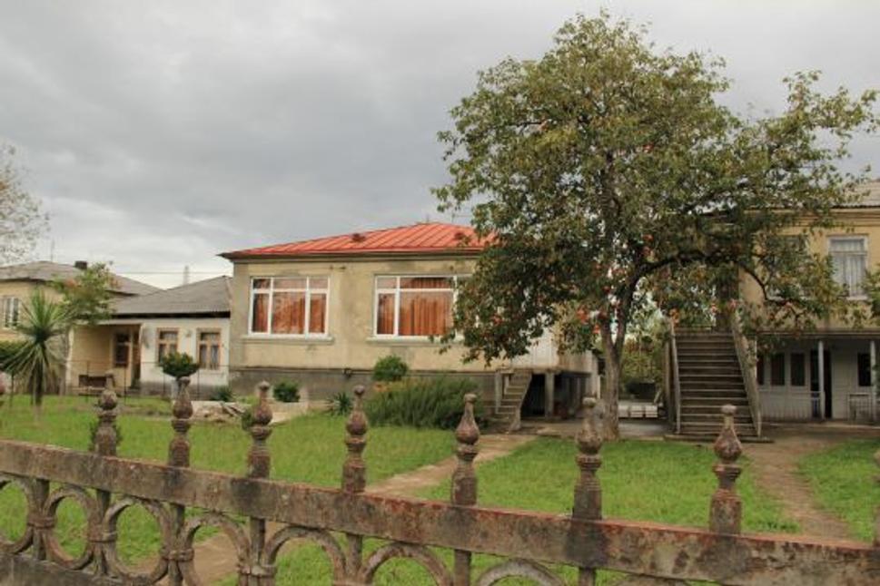 V mestečku Zugdidi rástli na strome ovocie hurmikaki.
