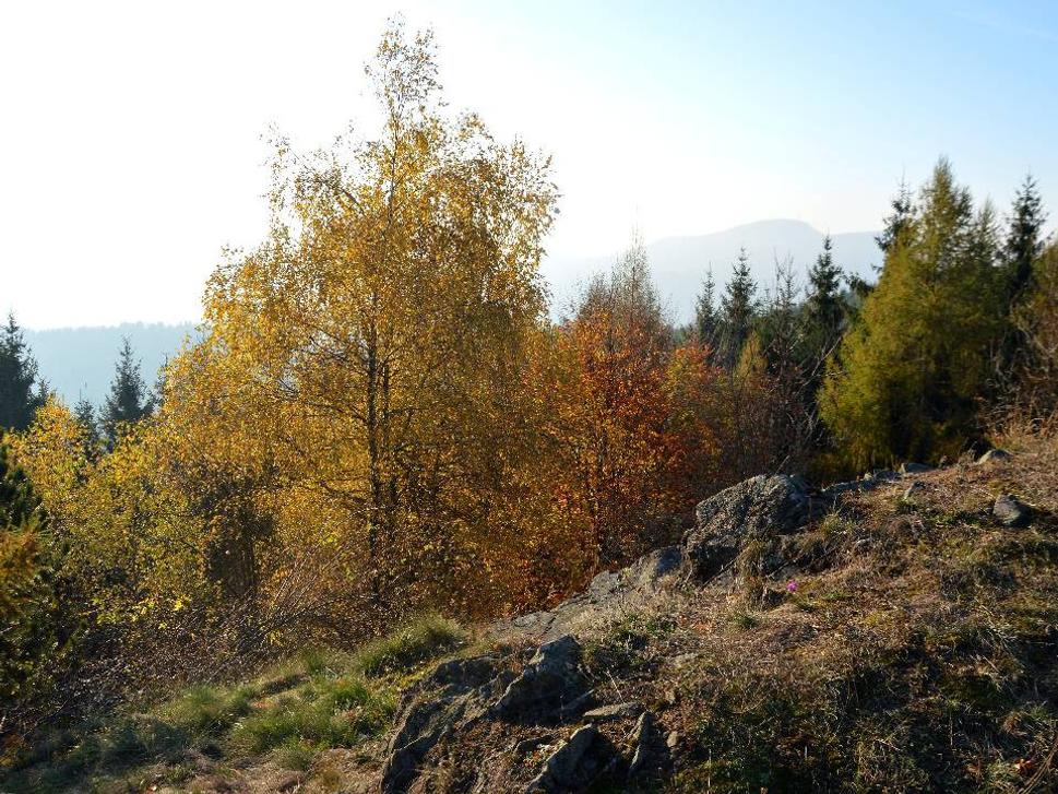 chodníkom na vrchol Tanádu