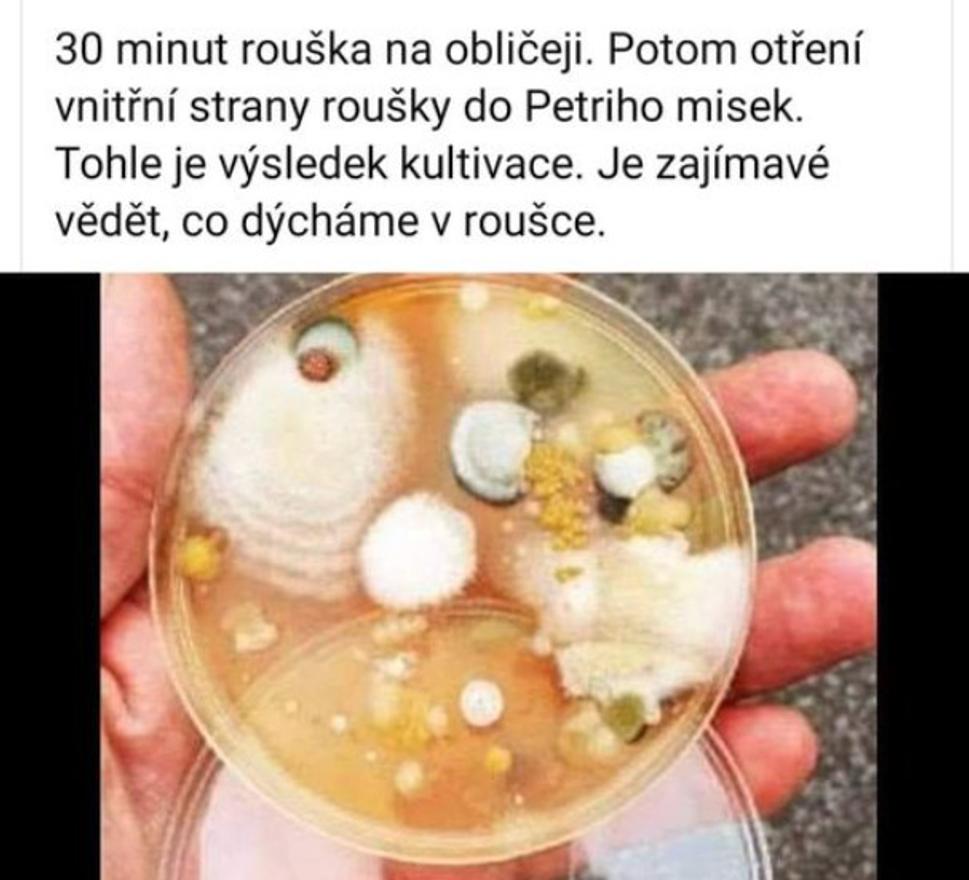 Ľudská kreativita niekedy nepozná hraníc.