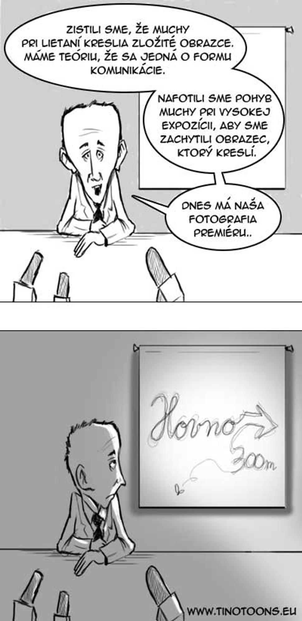 komunikacia much