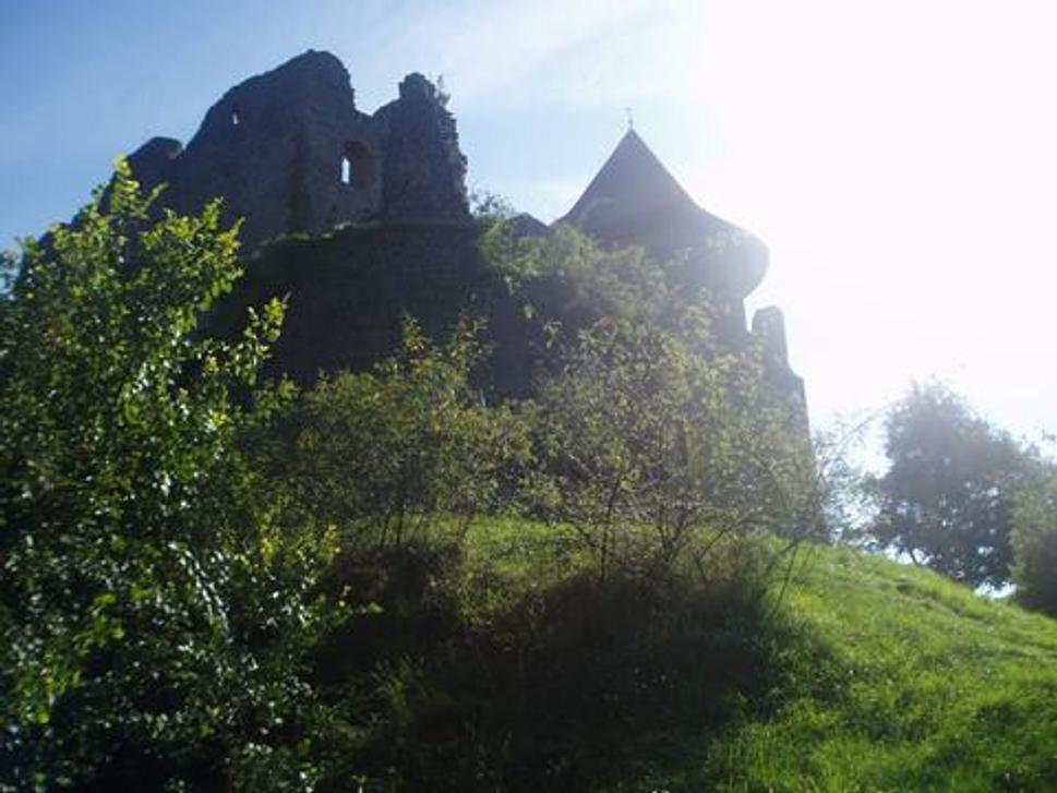 Hrad Šomoška