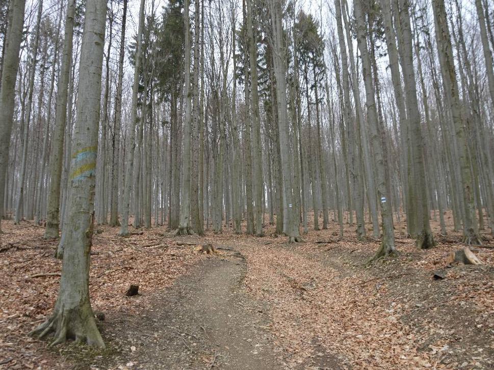 Obrázok blogu