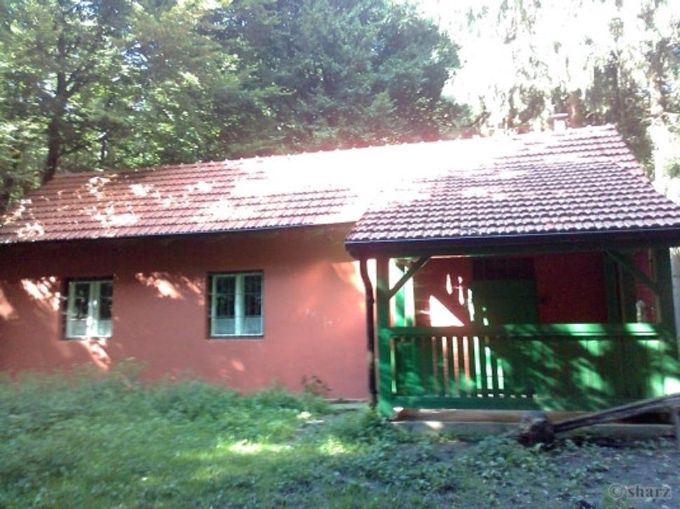 Obrázok blogu
