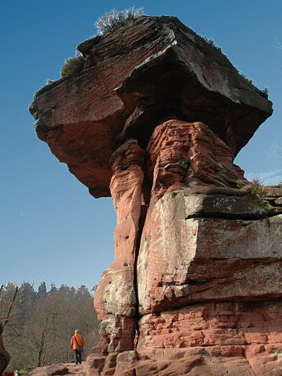 Obrázok blogu