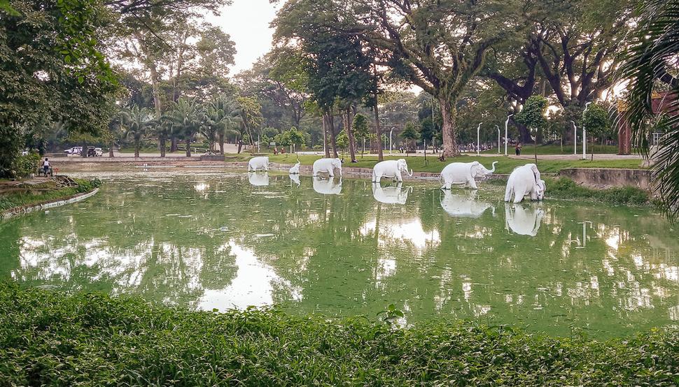Kandawgyi Lake
