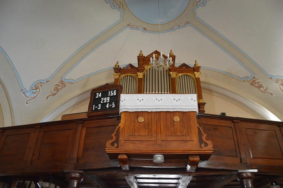 organ
