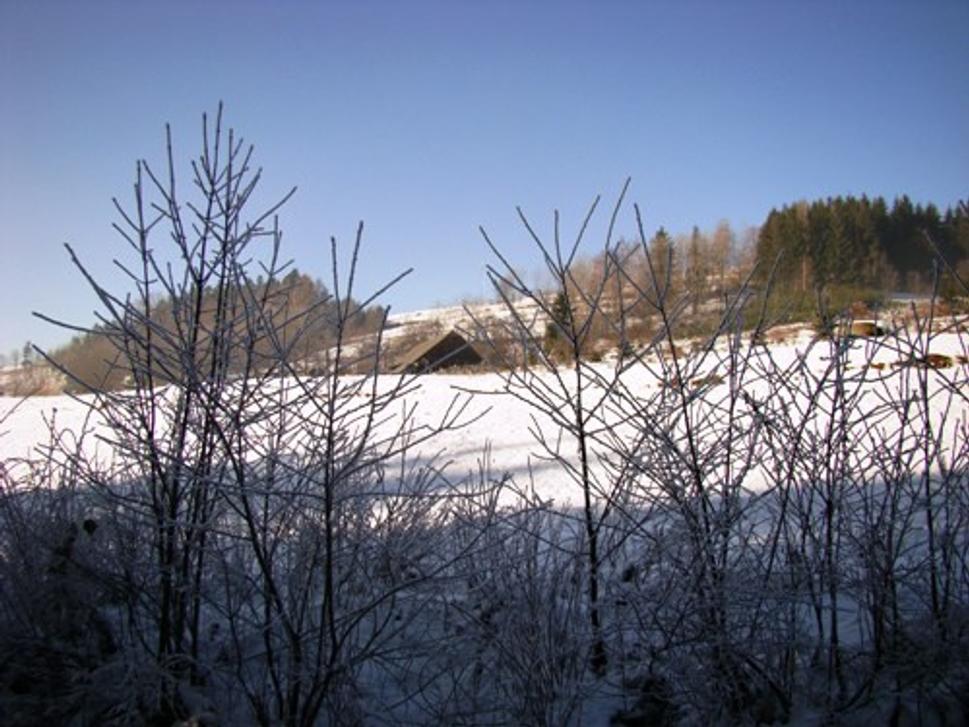 Obrázok blogu