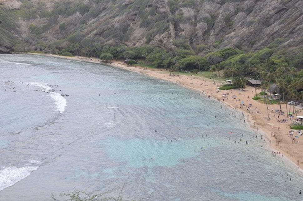 Hanauma Beach