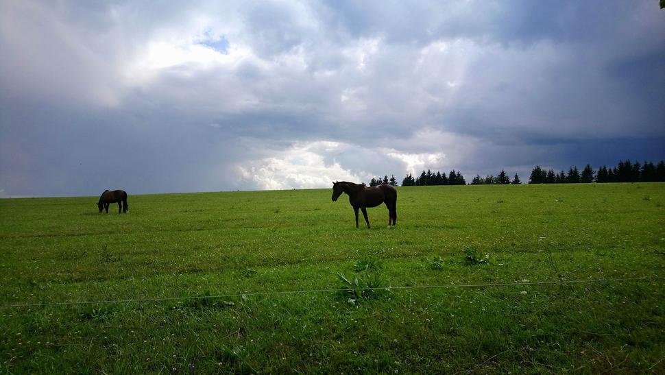 Pohľady, pri ktorých mi plesá srdce