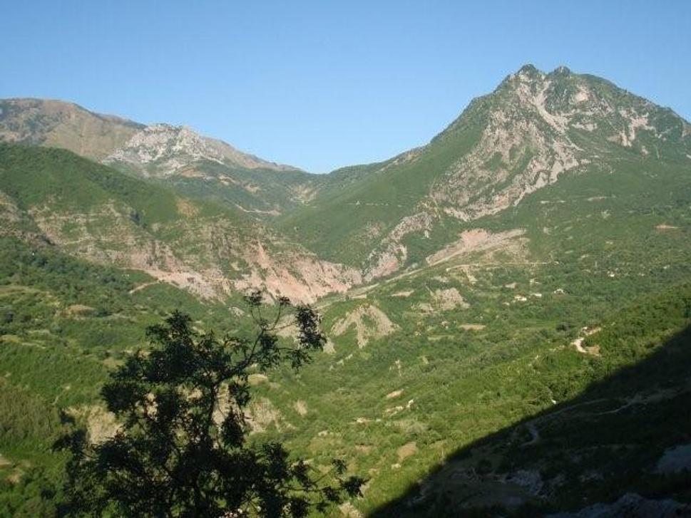 Obrázok blogu