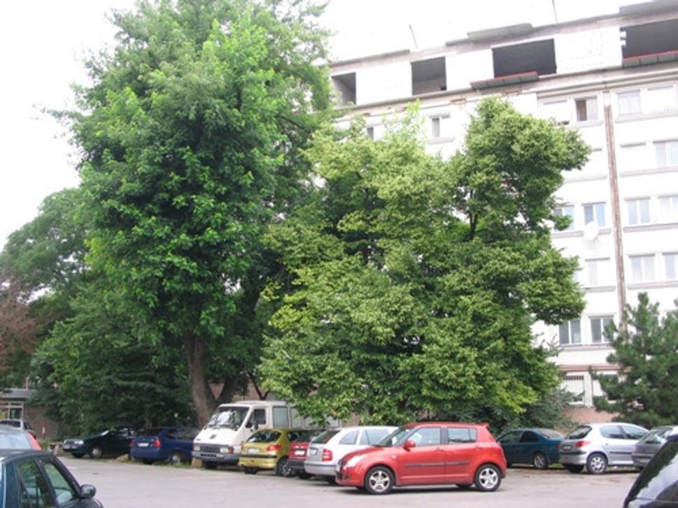 Obrázok blogu