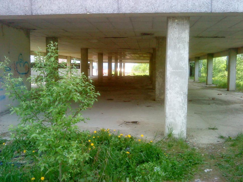 Obrázok blogu