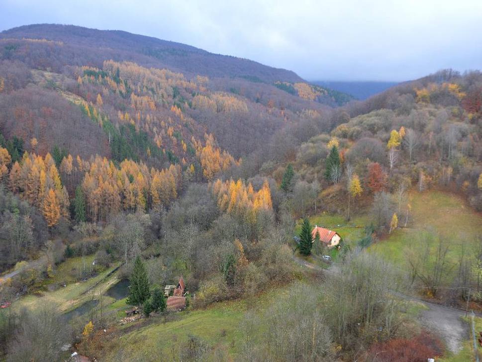 Obrázok blogu