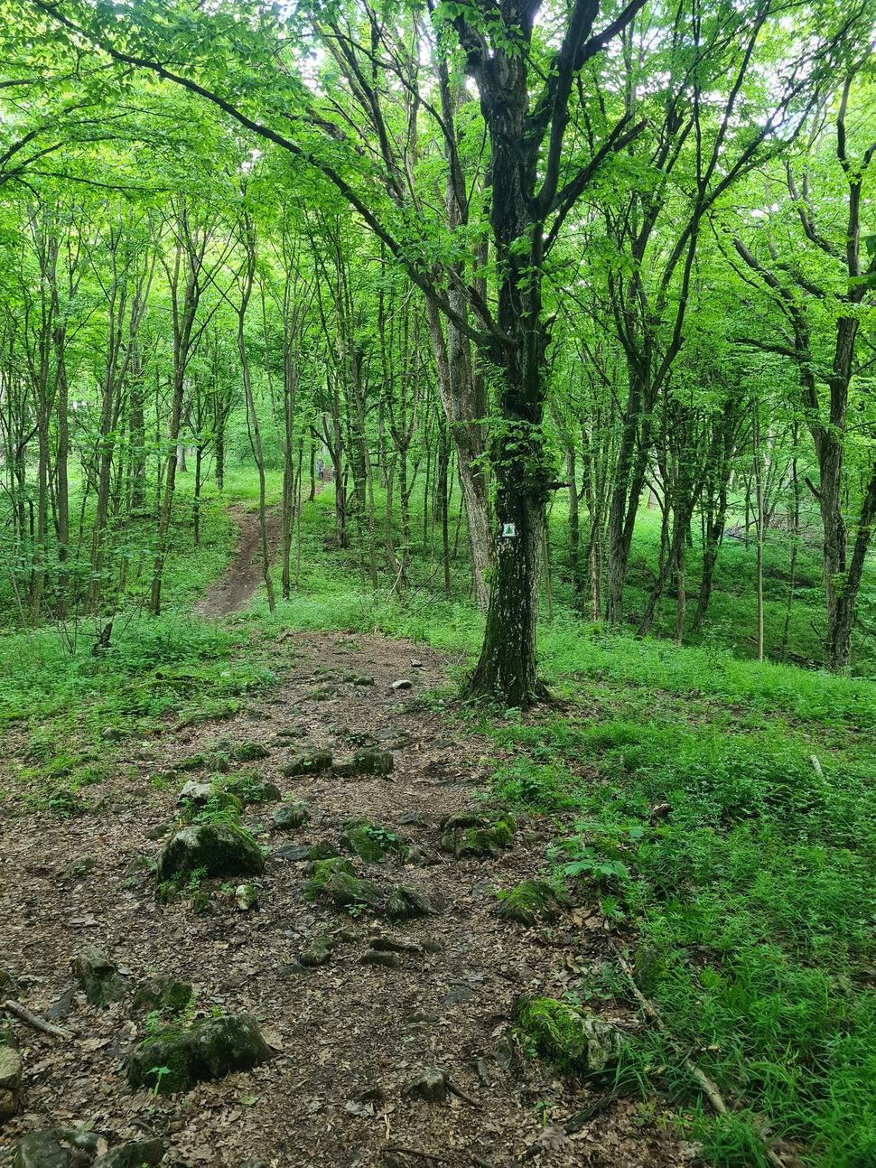 Pod Dievčenskou skalou
