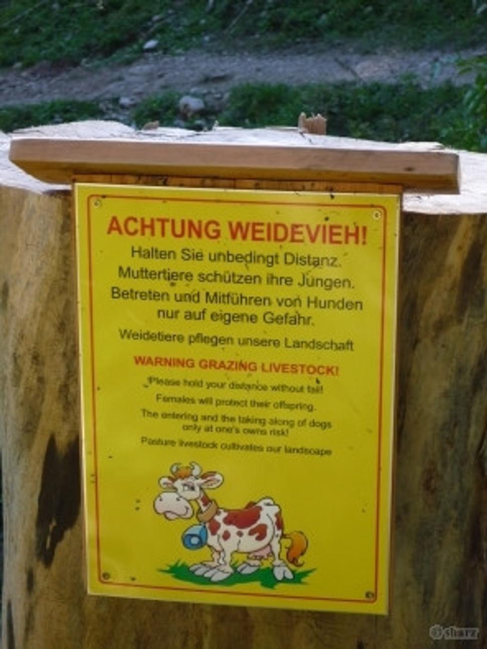 Obrázok blogu