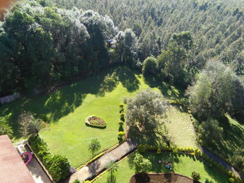 Výhľad na Národnú botanickú záhradu z veže neďaleko.