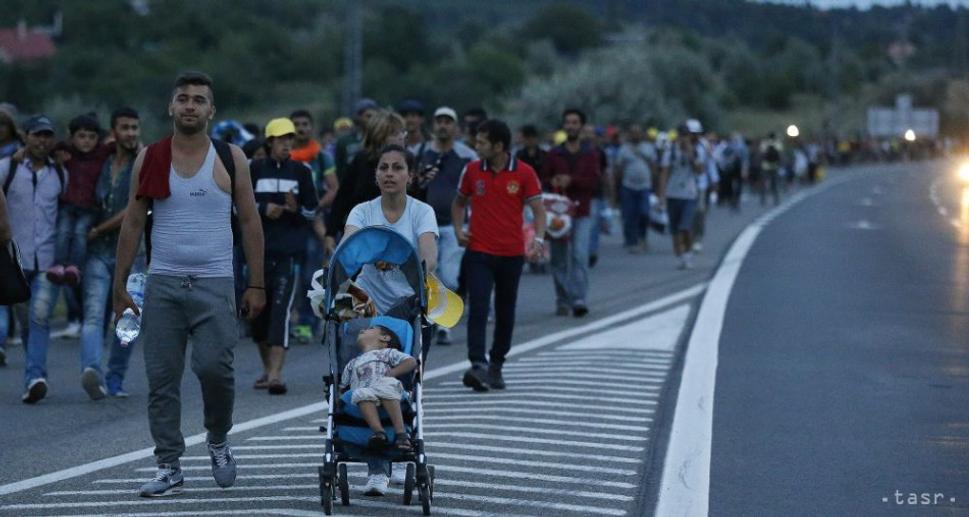 migranti