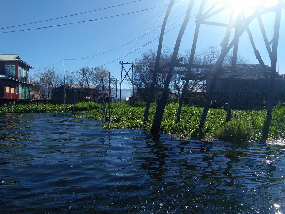 Zeleninove zahrady na jazere Inle