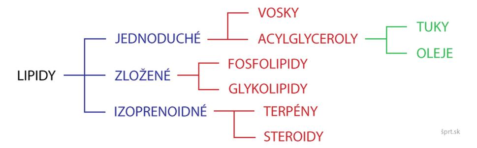 Obr. 1: Jedno z delení ľudských tukov, čiže lipidov.
Zdroj: https://sprt.sk/lipidy/